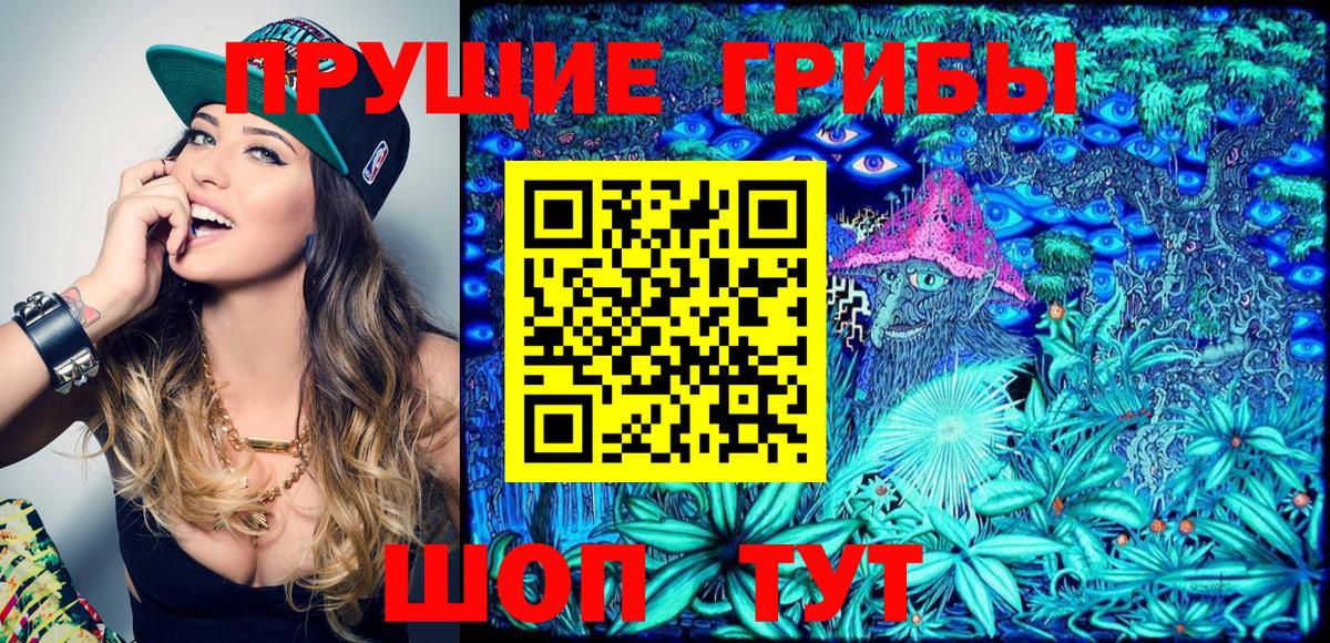Псилоцибиновые грибы MAGIC MUSHROOMS  Вход с VPN  Донецк 